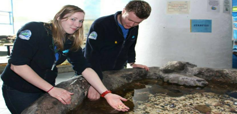 Professional Development Courses for Everyone